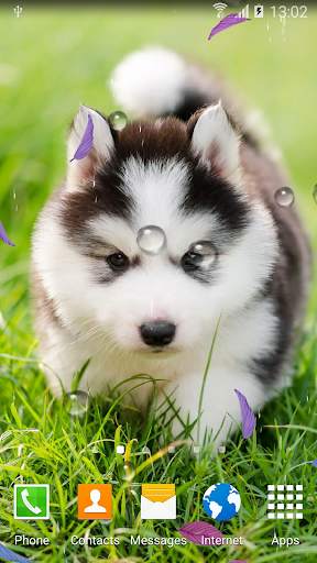 Animals Cute Live Wallpaper screenshot 5