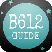 Free B612 Selfie Camera Guide 1.0