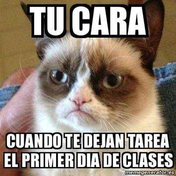 Fotos Memes 2017 screenshot 5