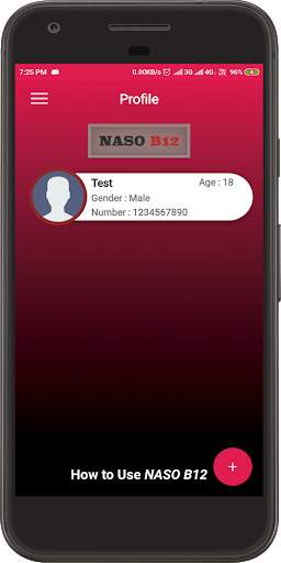 NASO B12 screenshot 4