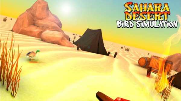 Sahara Desert Bird Simulation screenshot 5
