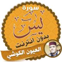 surah yasin full laayoun el kouchi Offline on 9Apps