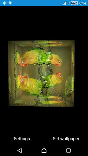 Love Bird Live Wallpaper screenshot 5