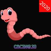 Cacing.io