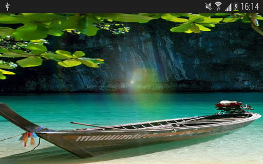 Sunshine Nature Leaf Wallpaper screenshot 3