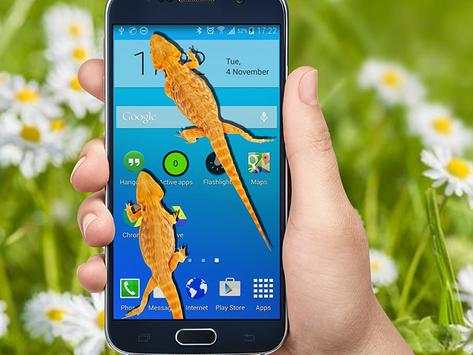 Lizard on Screen screenshot 3