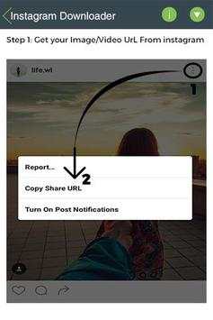Insta Downloader screenshot 1