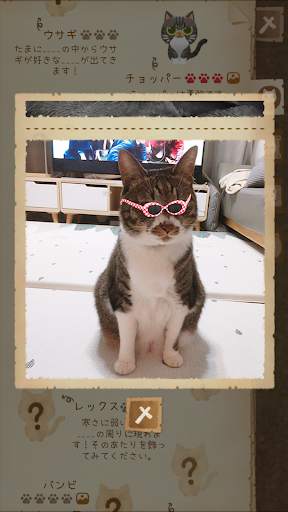 猫と秘密の森 screenshot 6