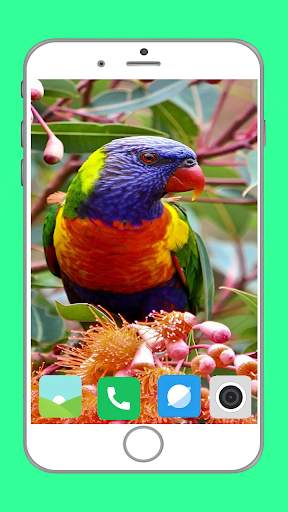 Birds Full HD Wallpaper स्क्रीनशॉट 2
