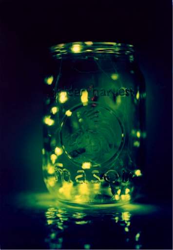 Fireflies Live Wallpaper screenshot 1