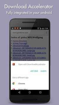 Download Accelerator screenshot 5