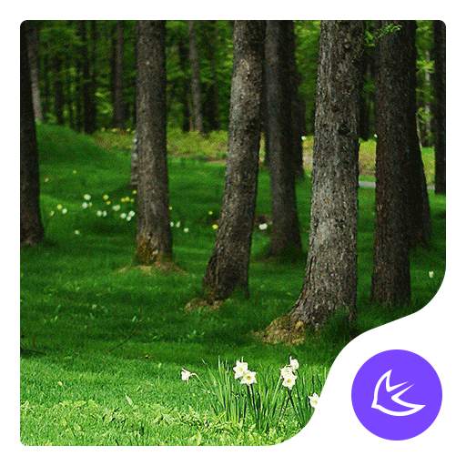 Forest|APUS Launcher theme 666.0.1001