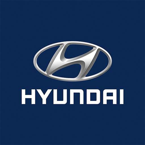 Hyundai BELUX 4.8.6