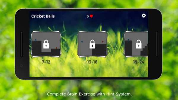 Cricket Balls screenshot 2