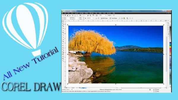 All New Tutorials Corel Draw Effect screenshot 2