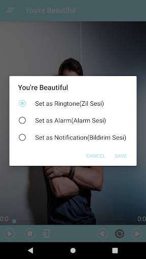 James Blunt Best Music(Offline) & Ringstones screenshot 4