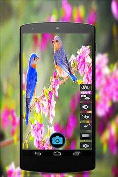 Candy HD Camera screenshot 2