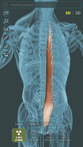 Visual Anatomy 3D | Human screenshot 7