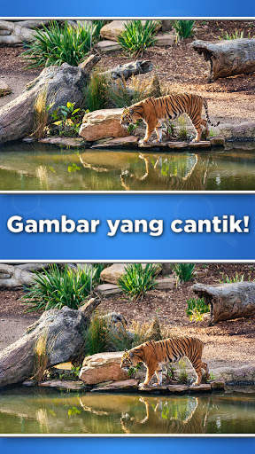 Permainan Perbedaan screenshot 2