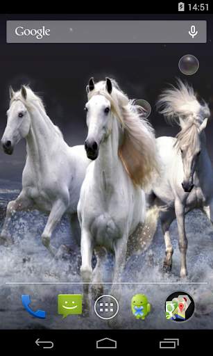 Horses Live Wallpaper screenshot 3