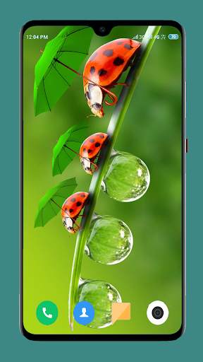 Waterdrop Wallpaper 4K screenshot 14