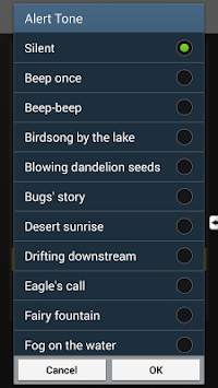 Audio Manager Pro screenshot 3
