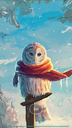 Pretty owls Wallpaper screenshot 3