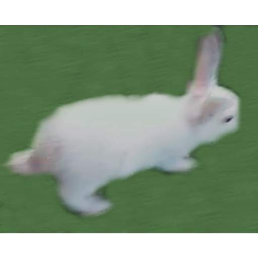 Save Lucy 3.9