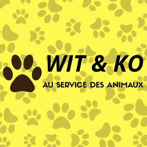 Wit and Ko 1.0