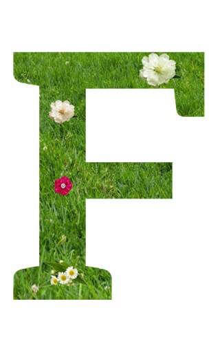 Stylish Quilling Alphabets (Offline) screenshot 2