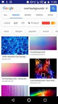Indian google screenshot 3