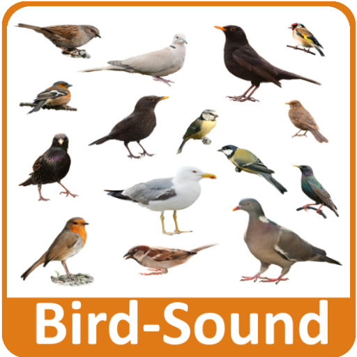 Bird Sounds icon