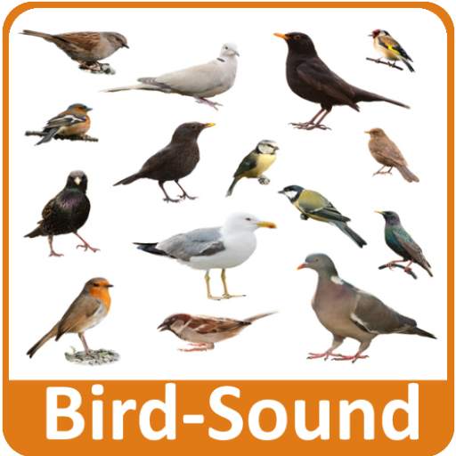 Bird Sounds 2.0