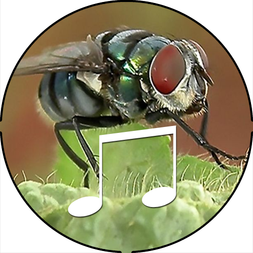 real fly sound prank offline icon