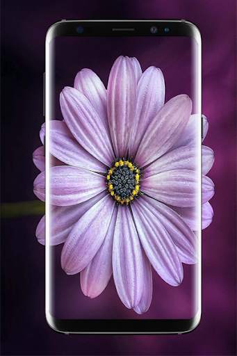 Purple Wallpaper HD screenshot 3
