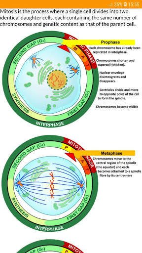 A Level Biology скриншот 7