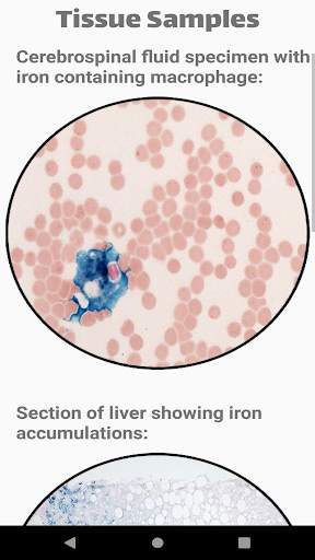 Bacteria Stains Lite screenshot 5
