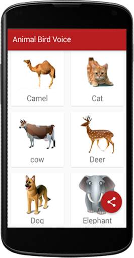 Animal Bird Voice screenshot 2