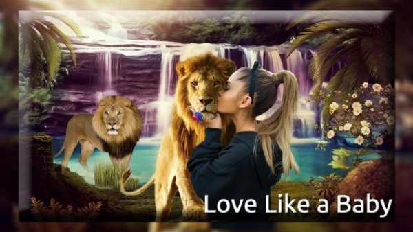Lion Photo Editor 2 تصوير الشاشة