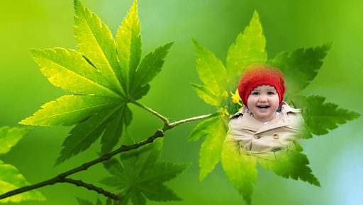 Leaf Photo Frames screenshot 8