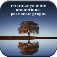 Best Lessons In Life Quotes