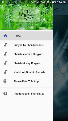Powerful Ruqyah Sharia mp3 Offline screenshot 3