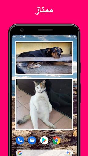 Photo Widget + 5 تصوير الشاشة