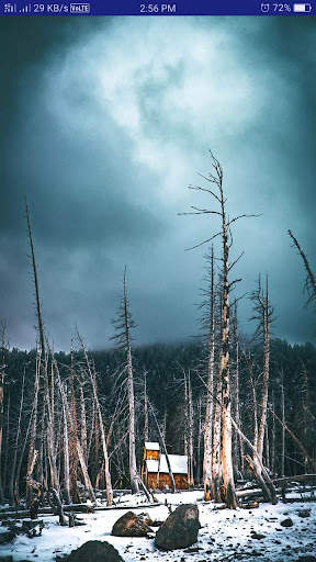 Wallpaper AK 2019 screenshot 7