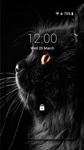 Black Cat Wallpaper Full HD (backgrounds & themes) screenshot 4