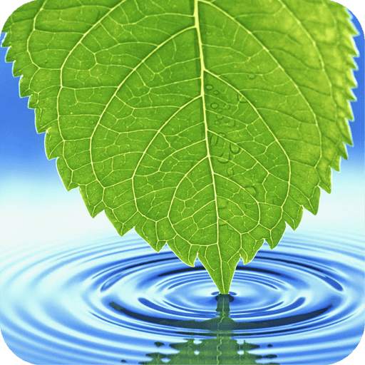 Leaf Wallpaper HD screenshot 18