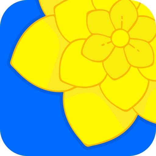 Gallery - photo & video player 1.0.4