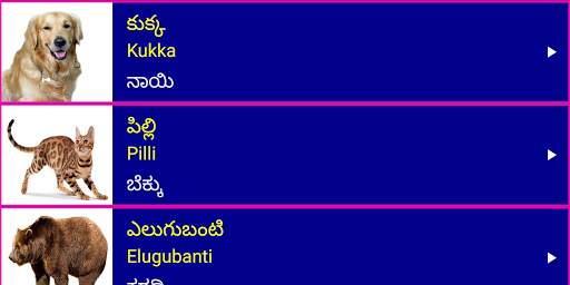 Learn Telugu From Kannada screenshot 11