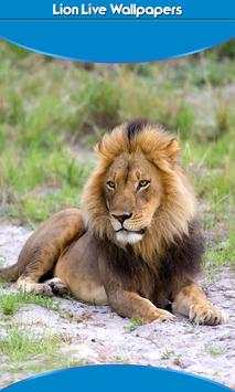 Lion Live Wallpapers screenshot 1