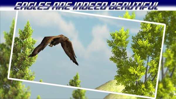 Bird Hunting Season Hunter 3D screenshot 3